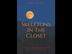Book cover for mystery book