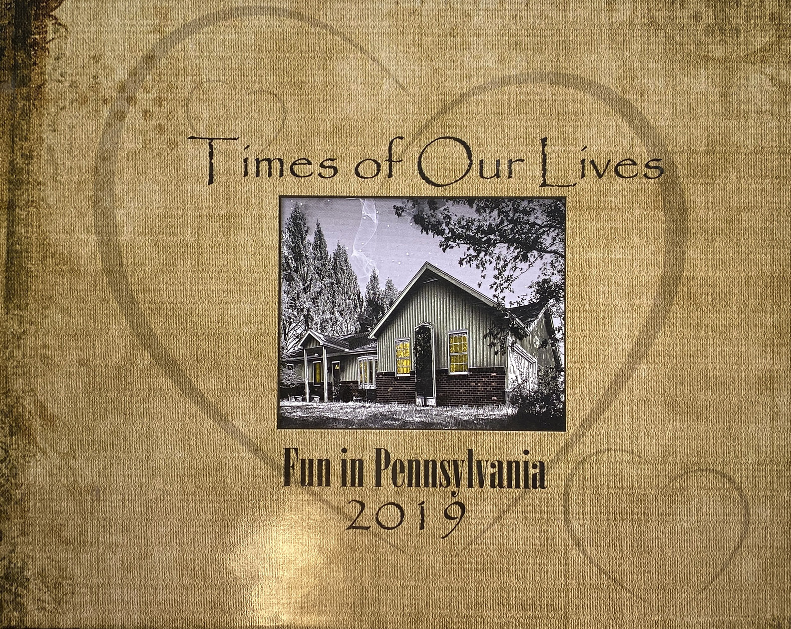Book cover for Times of Our Lives